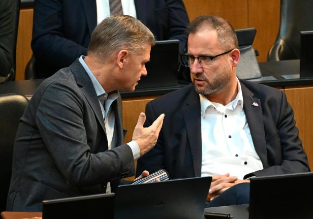 NATIONALRAT: HANGER / HAFENECKER