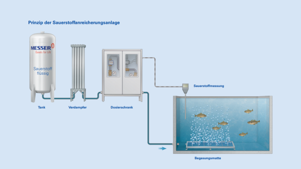 Schema der Sauerstoffanreicherungsanlage mit Tank, Verdampfer, Dosierschrank, Sauerstoffmessung und Begasungsmatte im Wasserbecken mit Fischen.