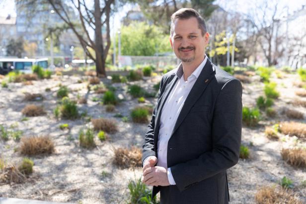 Marcus Franz, BV Favoriten