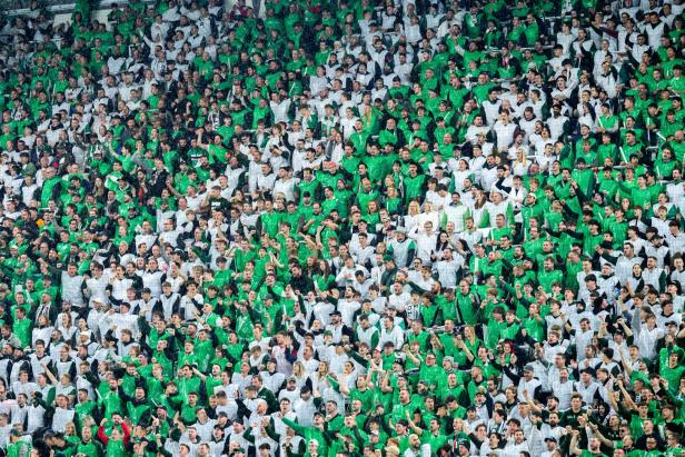 Die Rapid-Fans im Stadion.