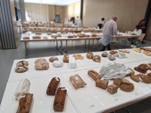 Große Vielfalt46-220033328