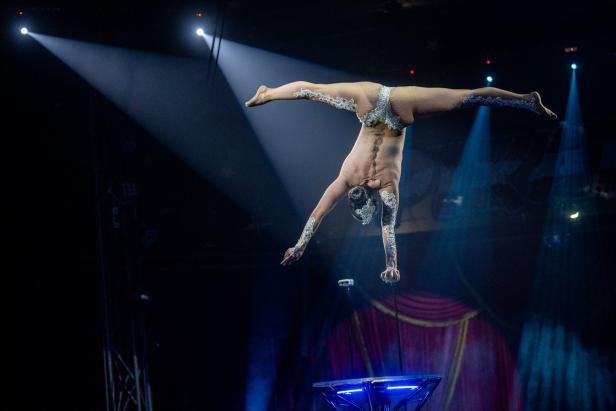 Atemberaubende Kunststücke in der Manege