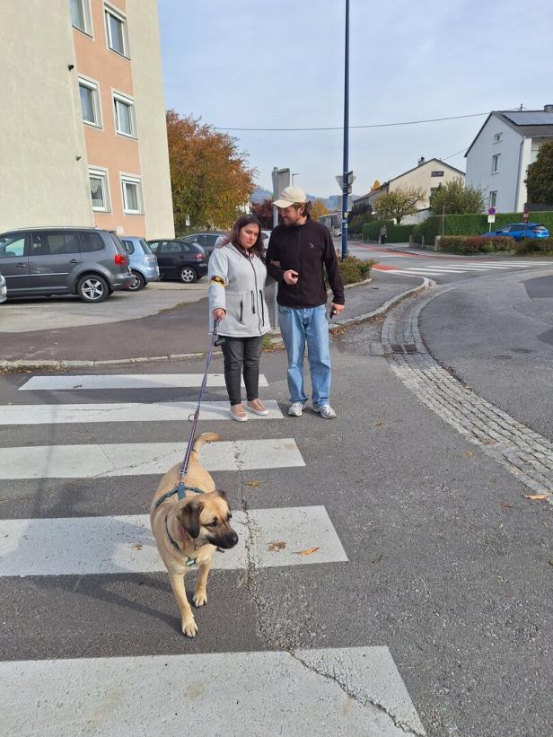 Frau und Mann mit Hund auf einem Zebrastreifen