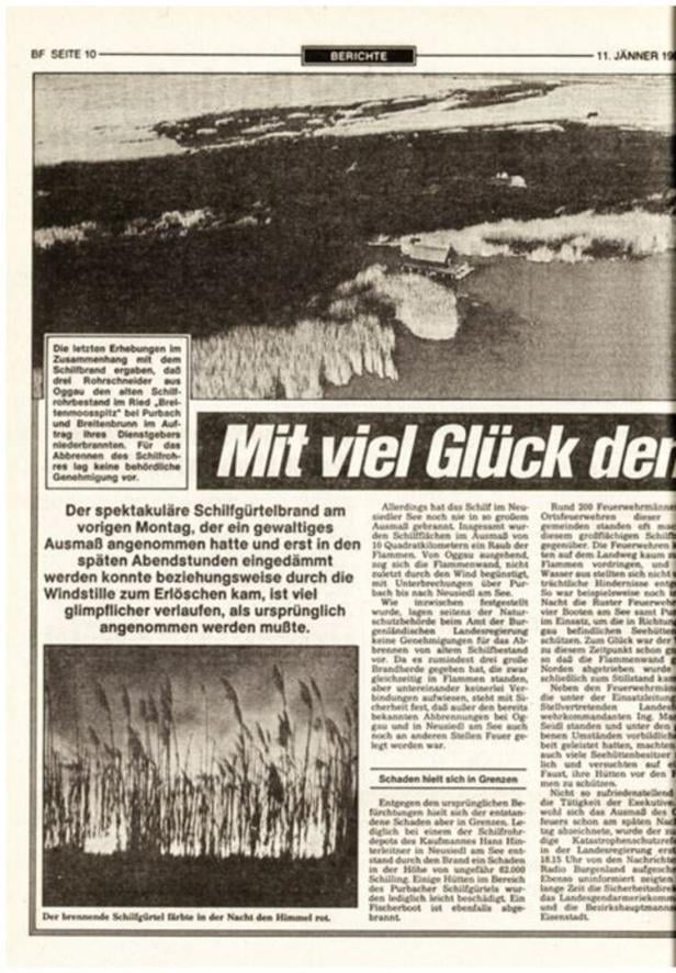 Luftaufnahme eines großen Schilfgürtels an einem Gewässer, dazu ein Artikel über einen Brand im Schilfgebiet.