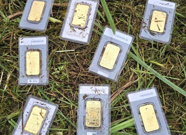 Goldbarren in Plastik eingeschweißt liegen auf einer Wiese