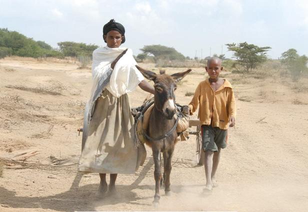 Zwei Personen, eine in langem Rock und weißem Tuch, die andere in gelber Jacke und Shorts, führen einen Esel mit Packtaschen auf staubigem Weg.