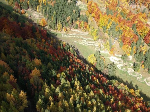 Die ersten Strecken sind bereits in die Landschaft gebaut