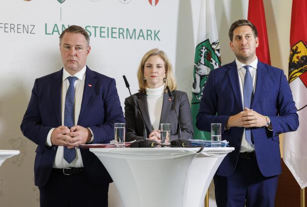 Vizekanzler, Außenministerin, Staatssekretär