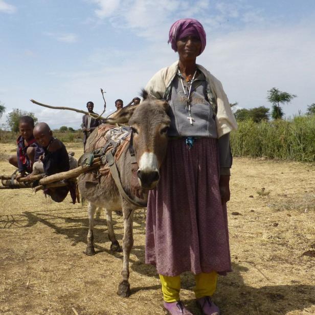 Frau mit lila Kopftuch, grauem Pullover, langem Rock und gelben Leggings steht neben einem grauen Esel mit Holzgeschirr auf trockenem Feld.