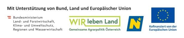 Ein Förderlogo der EU 