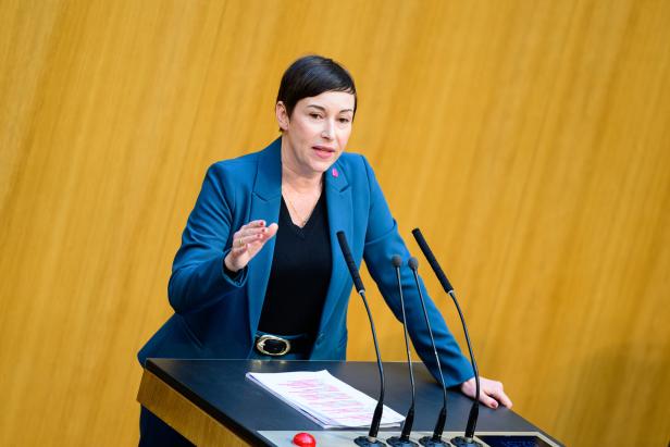 NATIONALRAT: BRANDSTÖTTER