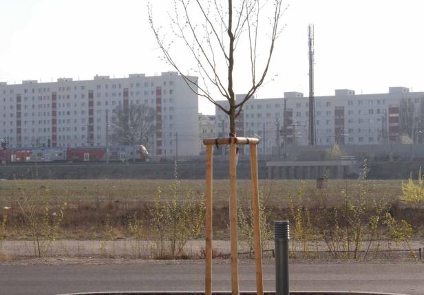 Ein junger Baum wird von Holzpfählen gestützt, im Hintergrund ein Wohnblock und ein Zug.