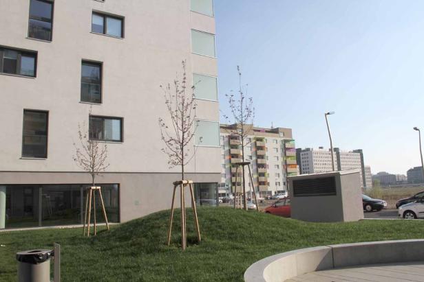 Junge Bäume stehen vor einem modernen Wohngebäude auf einer Rasenfläche.