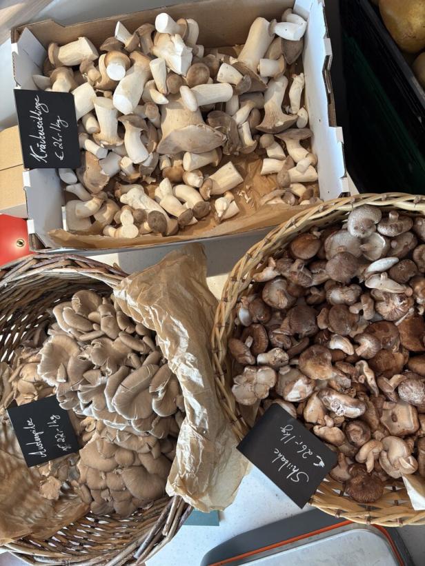 Naschmarkt Eröffnung Kulinarischer Rundgang