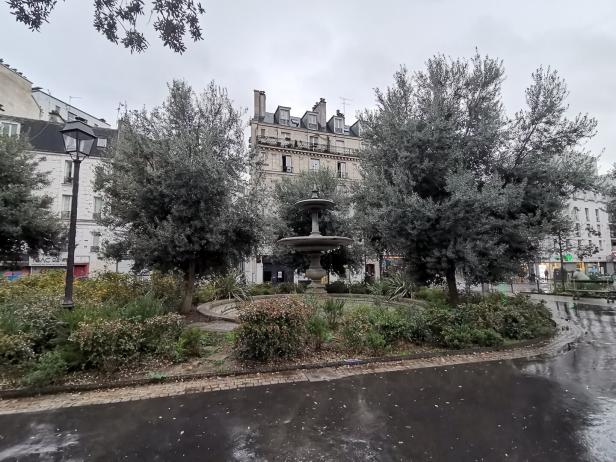 Olivenbäume und ein Brunnen in einem ehemaligen Kreisverkehr.