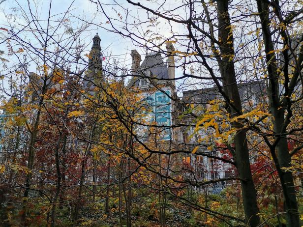 Ein Tiny Wood, ein kleiner Stadtwald, vor dem Rathaus in Paris. 