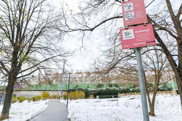 Glatteis und Schneefälle: Vorsicht auf Österreichs Straßen und Gehwegen