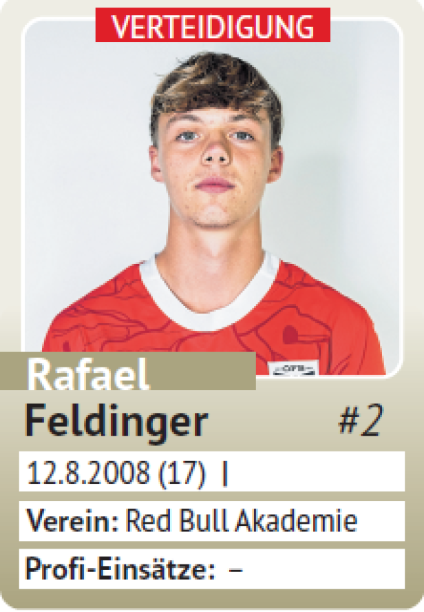 Feldinger