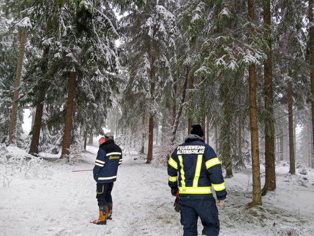 Zwei Feuerwehrleute stehen in einem verschneiten Wald.