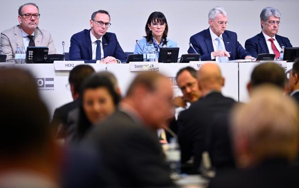 WIRTSCHAFTSKAMMER ÖSTERREICH (WKÖ): "WIRTSCHAFTSPARLAMENT" - SCHULTZ