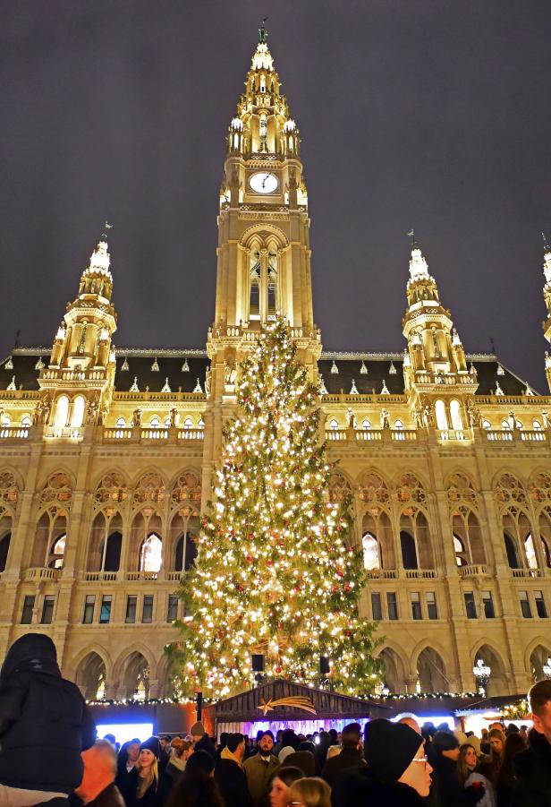 Christbaum mit Wiener Rathaus im Hintergrund