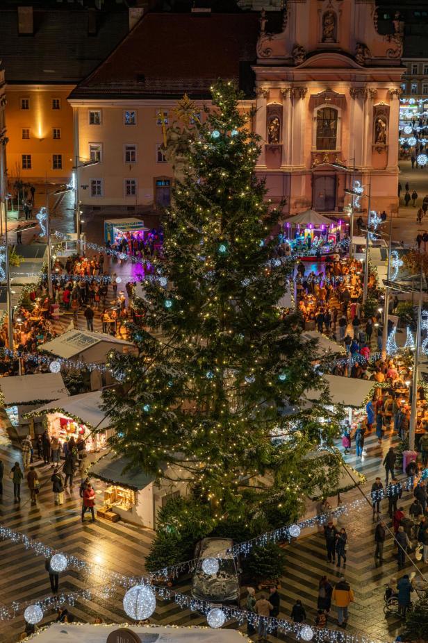 Christbaum am Rathausplatz von St. Pölten