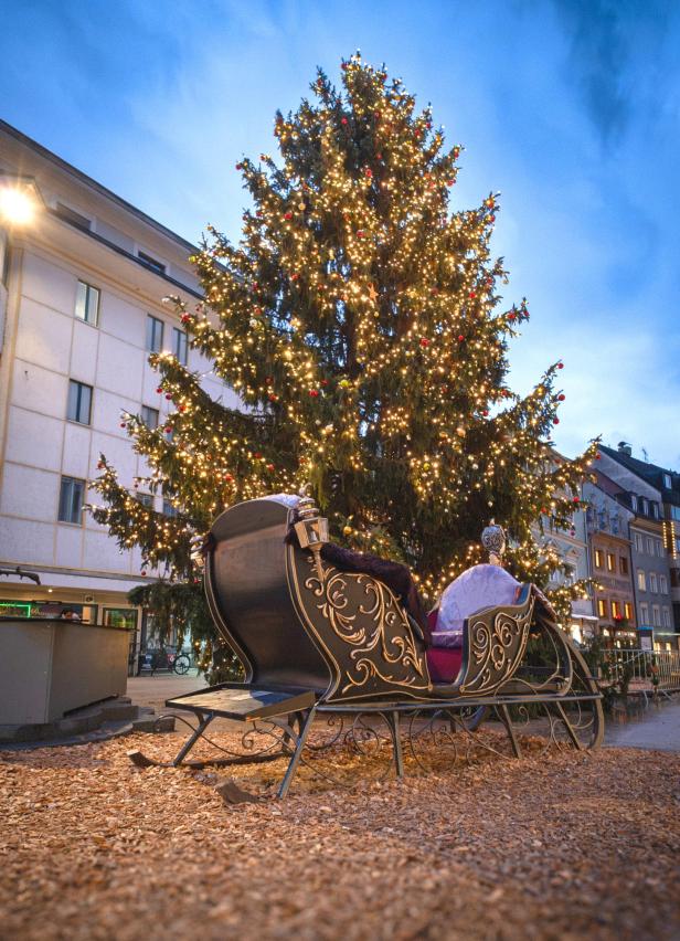 Der Christbaum in Bregenz