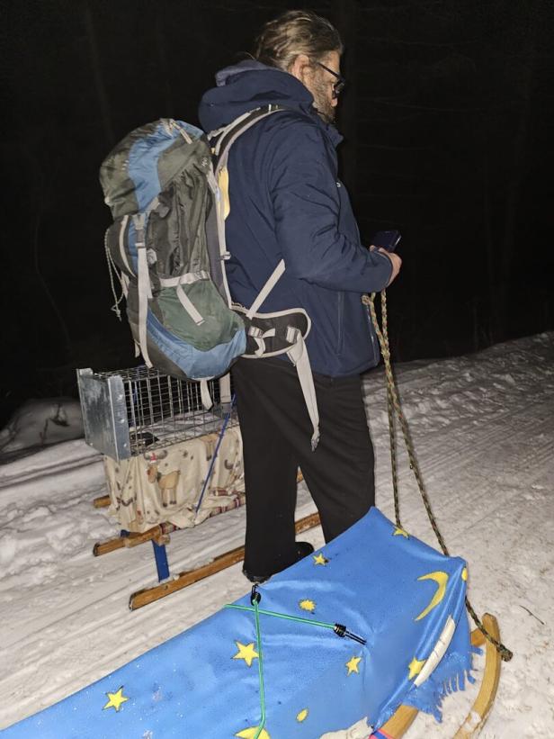 Aufwendige Rettung: Katzen im Schnee auf Berg zurückgelassen