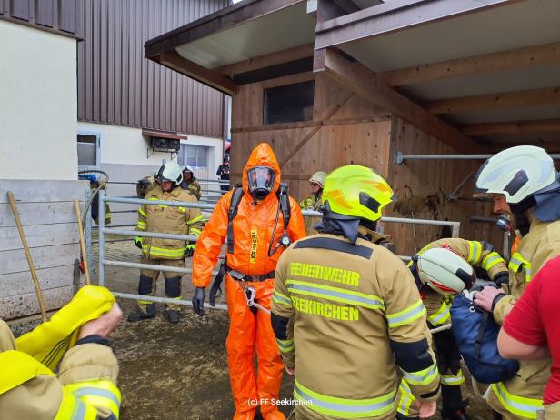 Tierrettungseinsatz Seekirchen 