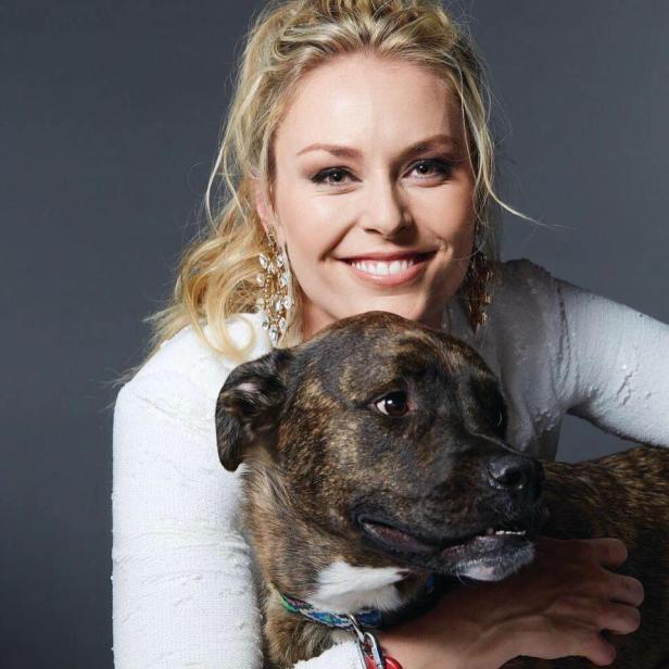 Lindsey Vonn im Spital: Ski-Star von Hund gebissen