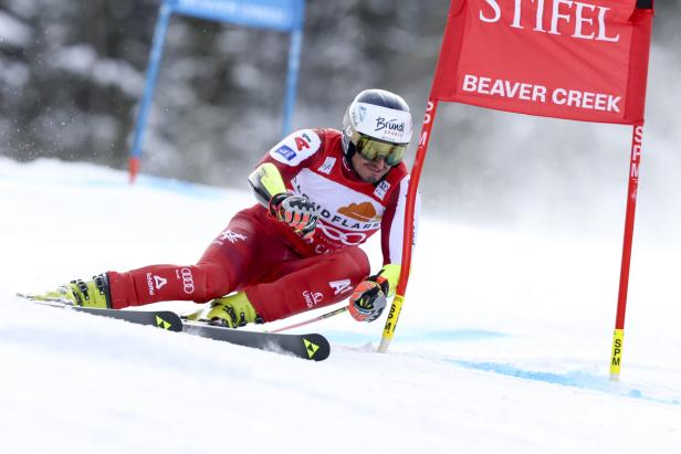 Stefan Brennsteiner war im ersten Riesentorlauf-Durchgang in Beaver Creek nur mit einem Stock unterwegs