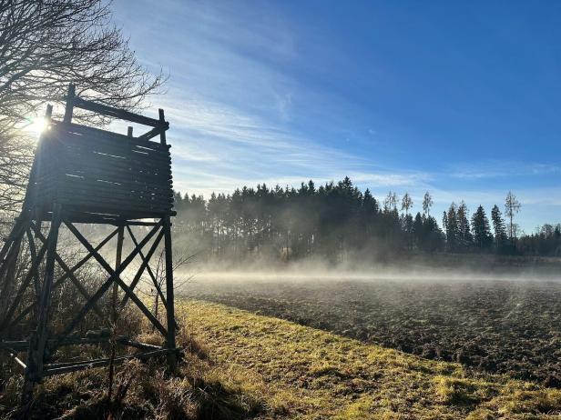 An diesem Platz bei der Böhmerwald-Bundesstraße (B38) bei Franzen wurden Leichenteile gefunden
