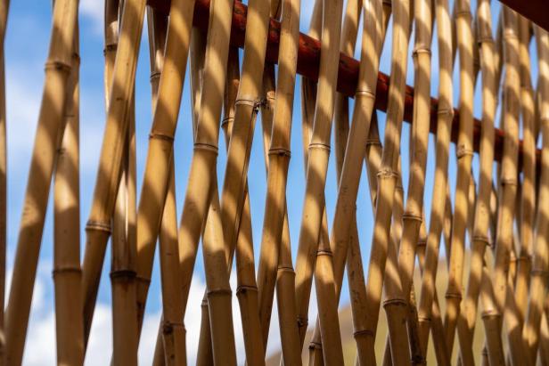 elementu-camilo-rebelo-plus-jiani-huang-plus-rac-studio_10_©RAC_STUDIO