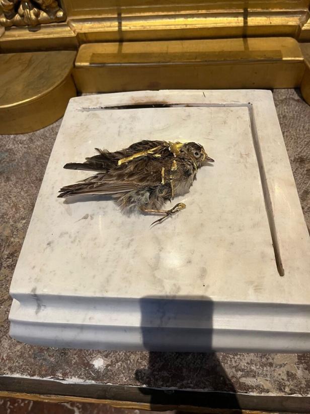 Zerstörtes Kunstwerk in der Jesuitenkirche.