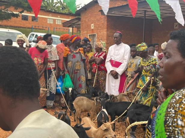 Erzbischof Simon steht in weißer Soutane in Burundi und gibt Ziegen an Frauen weiter. 