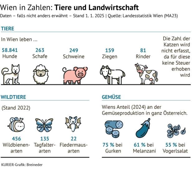 Diese Grafik zeigt, wie viele Tiere in Wien leben und welches Gemüse angebaut wird.