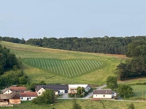 Ein Herz aus bepflanzten Reihen auf einer Wiese hinter einem kleinen Dorf, umgeben von Bäumen und Feldern.