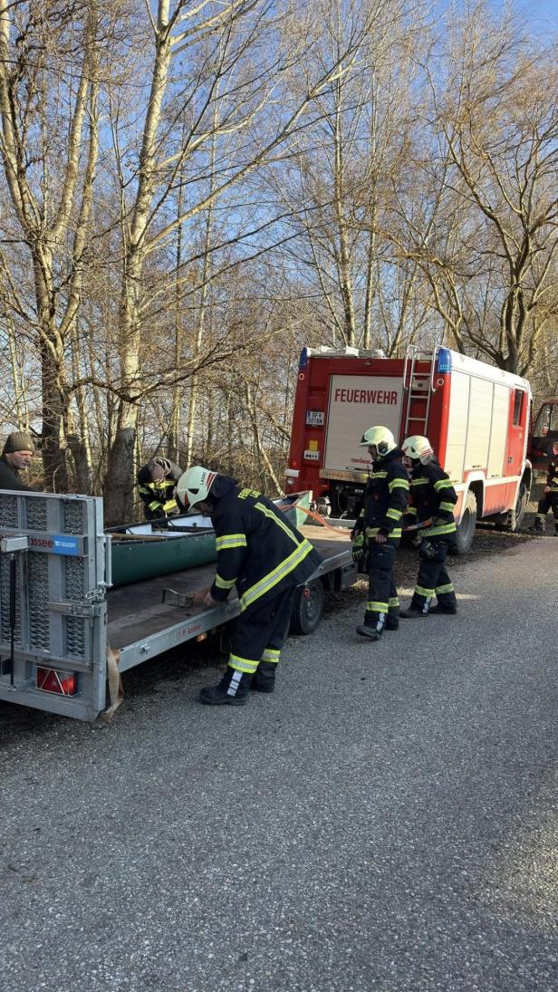 Schwanenrettung Lassee