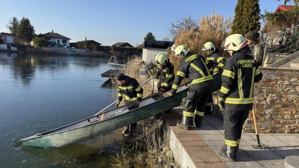 Schwanenrettung Lassee