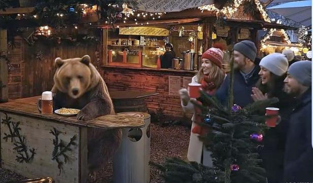 Bär am Weihnachtsmarkt
