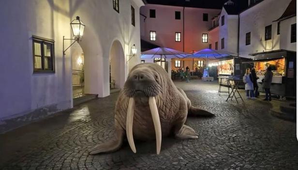 wallross im Schloss Ulmerfeld