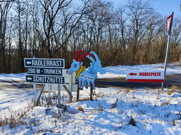 Goaß Fahndorfer Berg