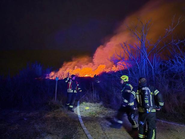 Drei Feuerwehrleute stehen nachts vor einem großen brennenden Waldstück mit starker Rauchentwicklung.