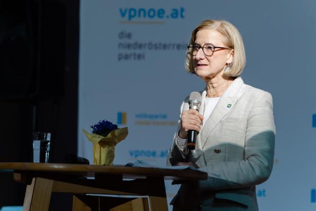 Visionen, Vernetzung, Zukunft: Gänserndorf startete politisch ins neue Jahr