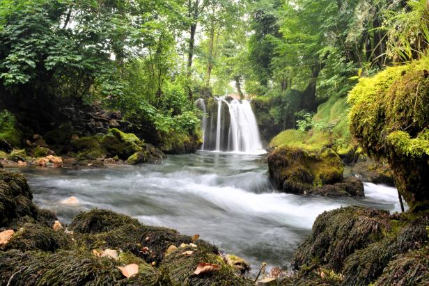 Kleiner Wasserfall inmitten grüner, moosbedeckter Felsen und dichter Waldlandschaft.