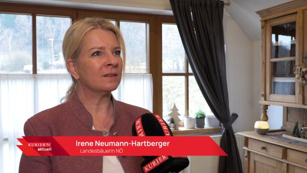 Eine Frau gibt ein Interview in ihrem Haus.