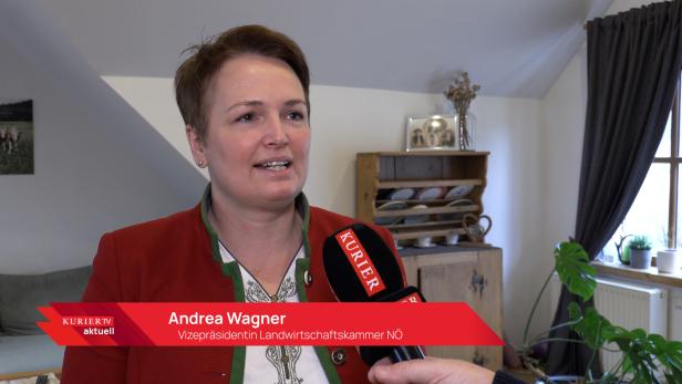 Andrea Wagner wird in einem Wohnzimmer von einem KURIER-Mikrofon interviewt.