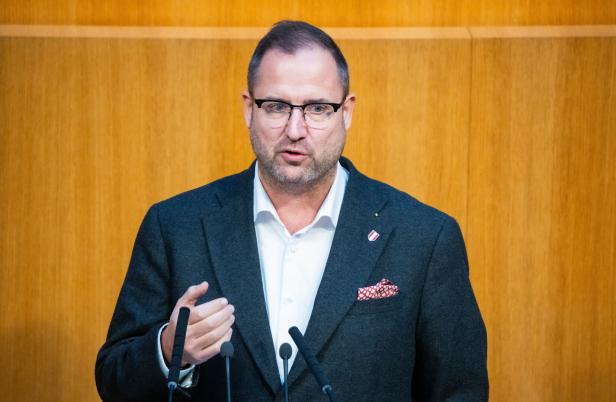 NATIONALRAT: HAFENECKER