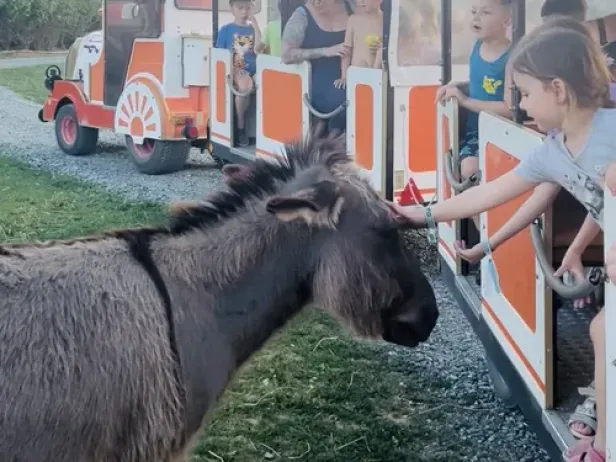 Camping Sonnenland Lutzmannsburg bietet viele Aktivitäten für Kinder