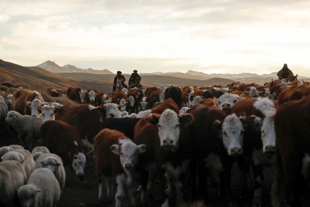 FILES-MERCOSUR-EU-TRADE